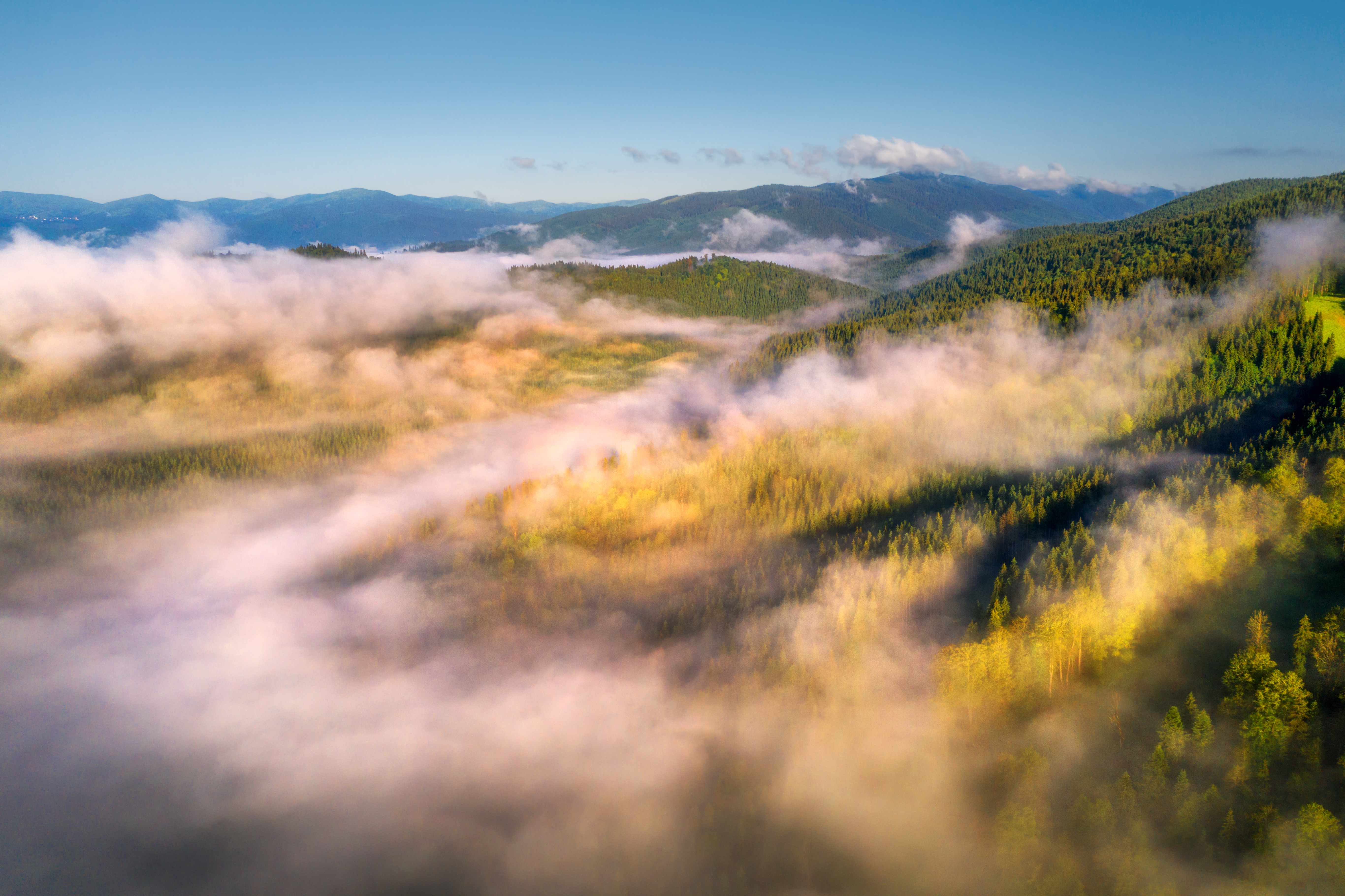 Schweizer KMU im Wandel - Herausforderungen und Chancen